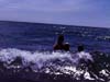 silverlake-64